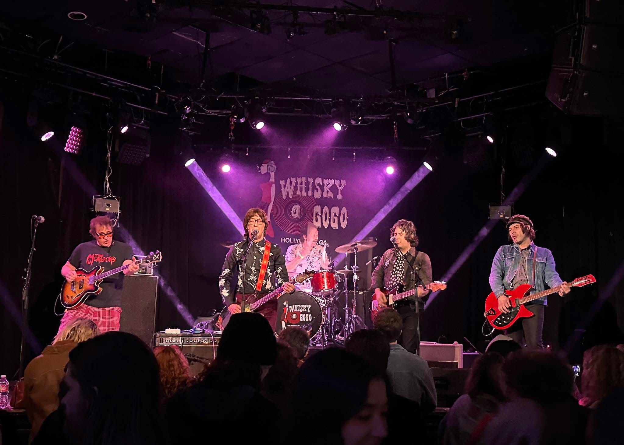 Flamin' Groovies